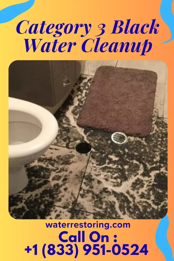 Category 3 Black Water Cleanup in Phoenixville, PA