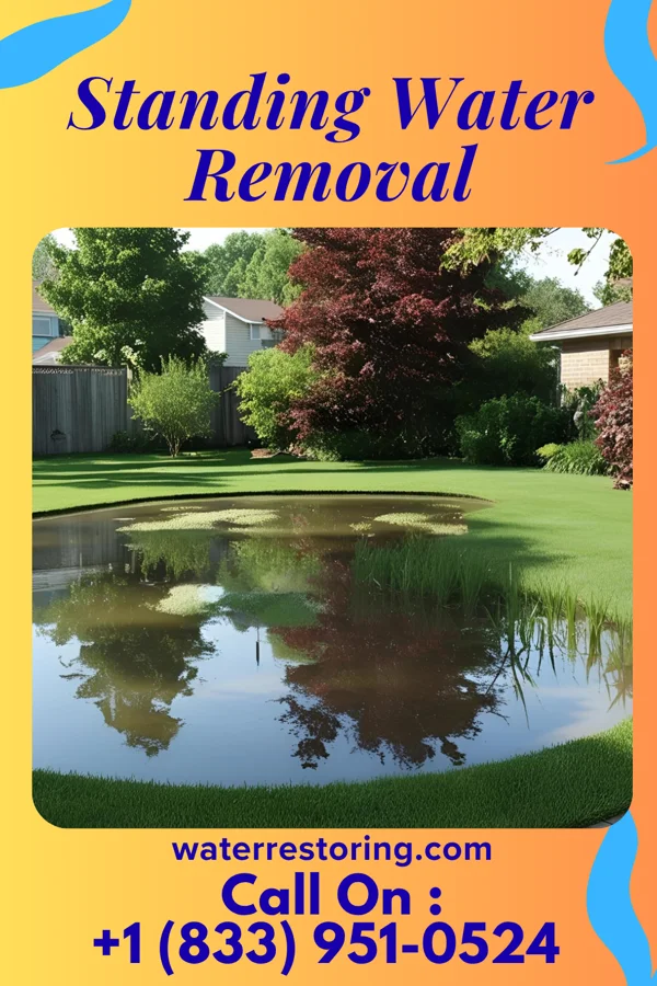 Standing Water Removal in Phoenixville, PA